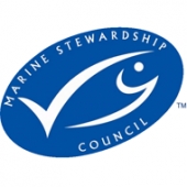 MSC logo MSC logo
